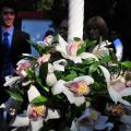 Buchete mireasa/ Aranjamente florale