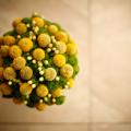 Buchete mireasa/ Aranjamente florale