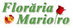 Logo Floraria Mario Logo Floraria Mario