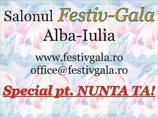 Logo Festiv Gala Logo Festiv Gala
