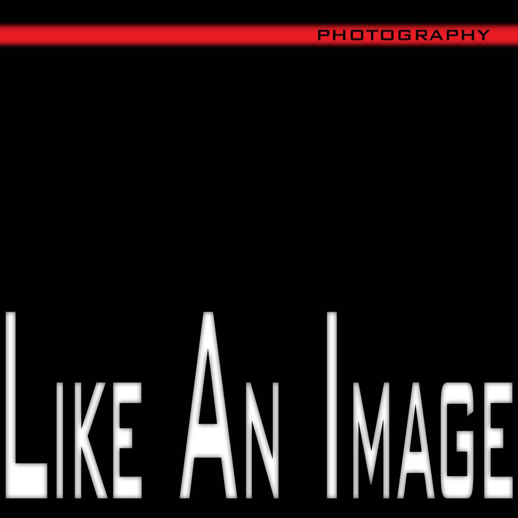 Logo Like An Image Logo Like An Image