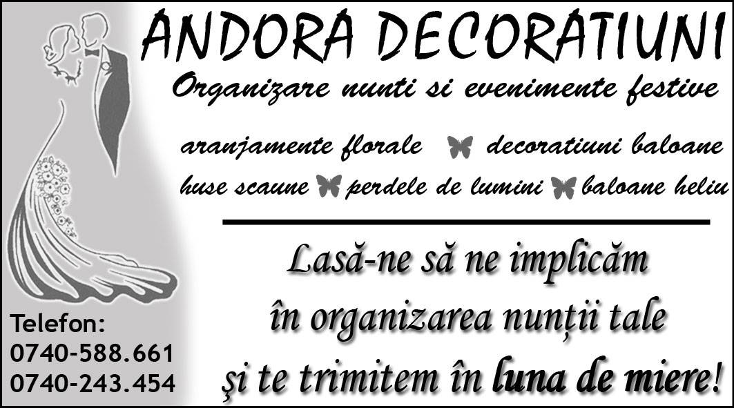 Logo Andora Decoratiuni Logo Andora Decoratiuni