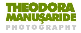 Logo Theo Manusaride Photography