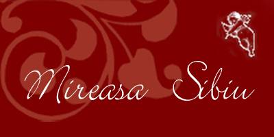 Logo Mireasa Sibiu Logo Mireasa Sibiu