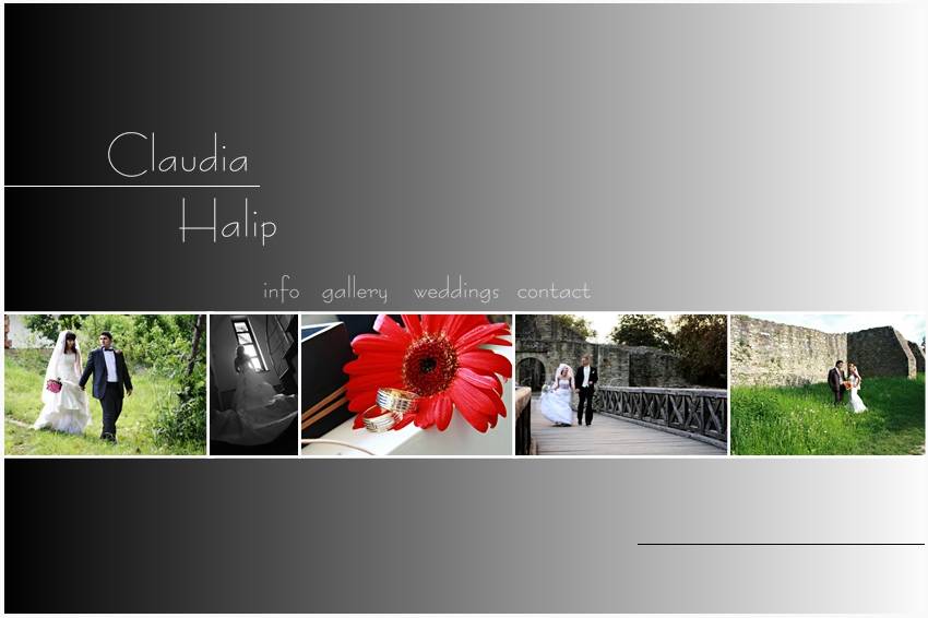 Logo Claudia Halip Logo Claudia Halip