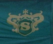 Logo Casa Silva Logo Casa Silva