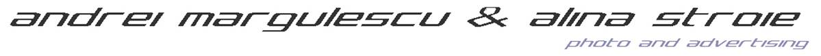Logo Andrei Margulescu si Alina Stroie Logo Andrei Margulescu si Alina Stroie