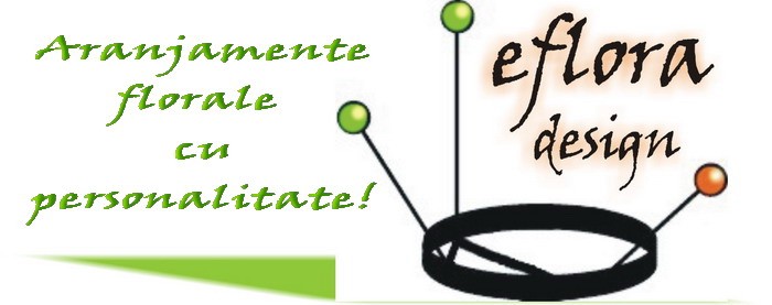Logo Eflora Design Logo Eflora Design