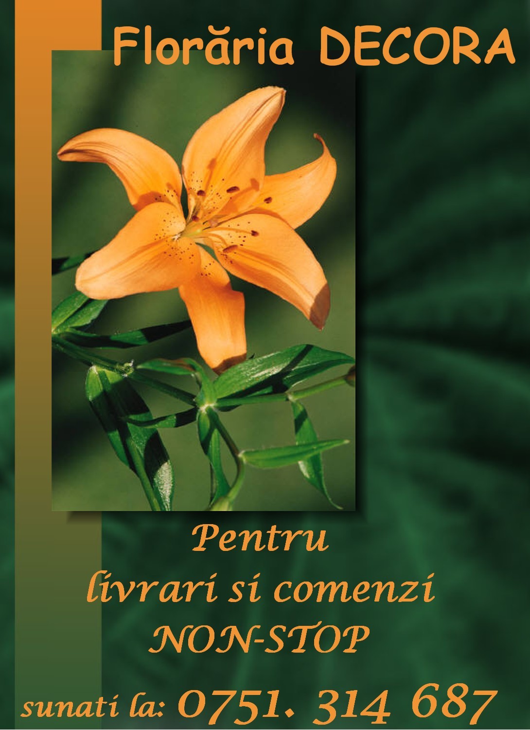 Logo Floraria Decora Logo Floraria Decora