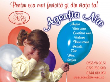 Logo Agentia Nic Logo Agentia Nic