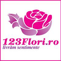 Logo 123Flori.ro