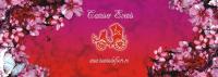Logo Camiser Events & Flowers Logo Camiser Events & Flowers