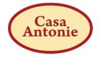 Logo Casa Antonie