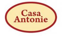 Logo Casa Antonie Logo Casa Antonie