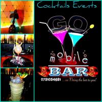 Logo Go Mobile Bar