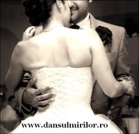 Logo Dansul Mirilor Logo Dansul Mirilor