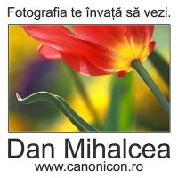 Logo Dan Mihalcea Logo Dan Mihalcea