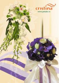 Logo Floraria Cristina Logo Floraria Cristina