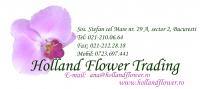 Logo Holland Flower Logo Holland Flower