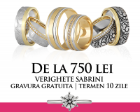 Logo Sabrini Romania Logo Sabrini Romania