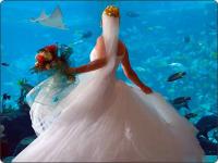Logo LunaWeddings Logo LunaWeddings