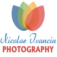 Logo Nicolae Ivanciu Logo Nicolae Ivanciu