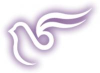 Logo Once In A Lifetime Logo Once In A Lifetime