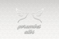 Logo Porumbei albi Logo Porumbei albi