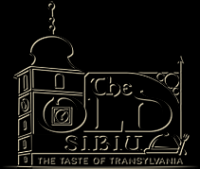 Logo The Old Sibiu Logo The Old Sibiu