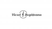 Logo TARAFUL VIOREL BOGATEANU