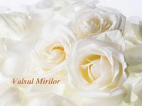 Logo Valsul Mirilor Logo Valsul Mirilor