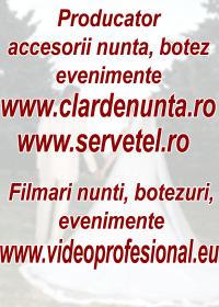 Logo Video Profesional