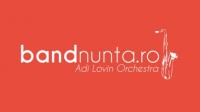 Logo Adi Lovin Orchestra Logo Adi Lovin Orchestra