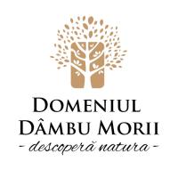 Logo Dambu Morii