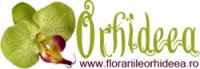Logo Florariile Orhideea Logo Florariile Orhideea