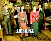 Logo Siderall Logo Siderall