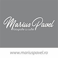 Logo Anima Media Pavel