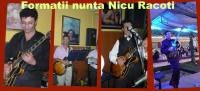Logo Nicu Racoti Logo Nicu Racoti