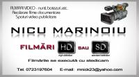 Logo Nicu Marinoiu Logo Nicu Marinoiu