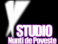 Logo Studio Nunti de Poveste Logo Studio Nunti de Poveste