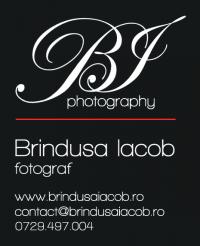 Logo Brindusa Iacob Photography Logo Brindusa Iacob Photography