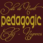 Logo Sala de nunti Pedagogic Logo Sala de nunti Pedagogic