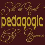 Logo Sala de nunti Pedagogic