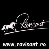Logo Ravisant Logo Ravisant