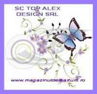 Logo Top Alex Design