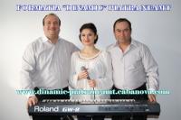 Logo Dinamic - Piatra Neamt Logo Dinamic - Piatra Neamt