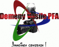 Logo Demeny Vasile