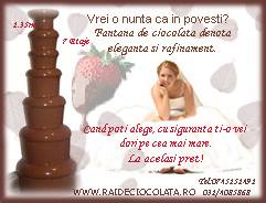 Logo Rai de ciocolata Logo Rai de ciocolata