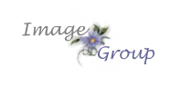 Logo Image Plus Group Logo Image Plus Group