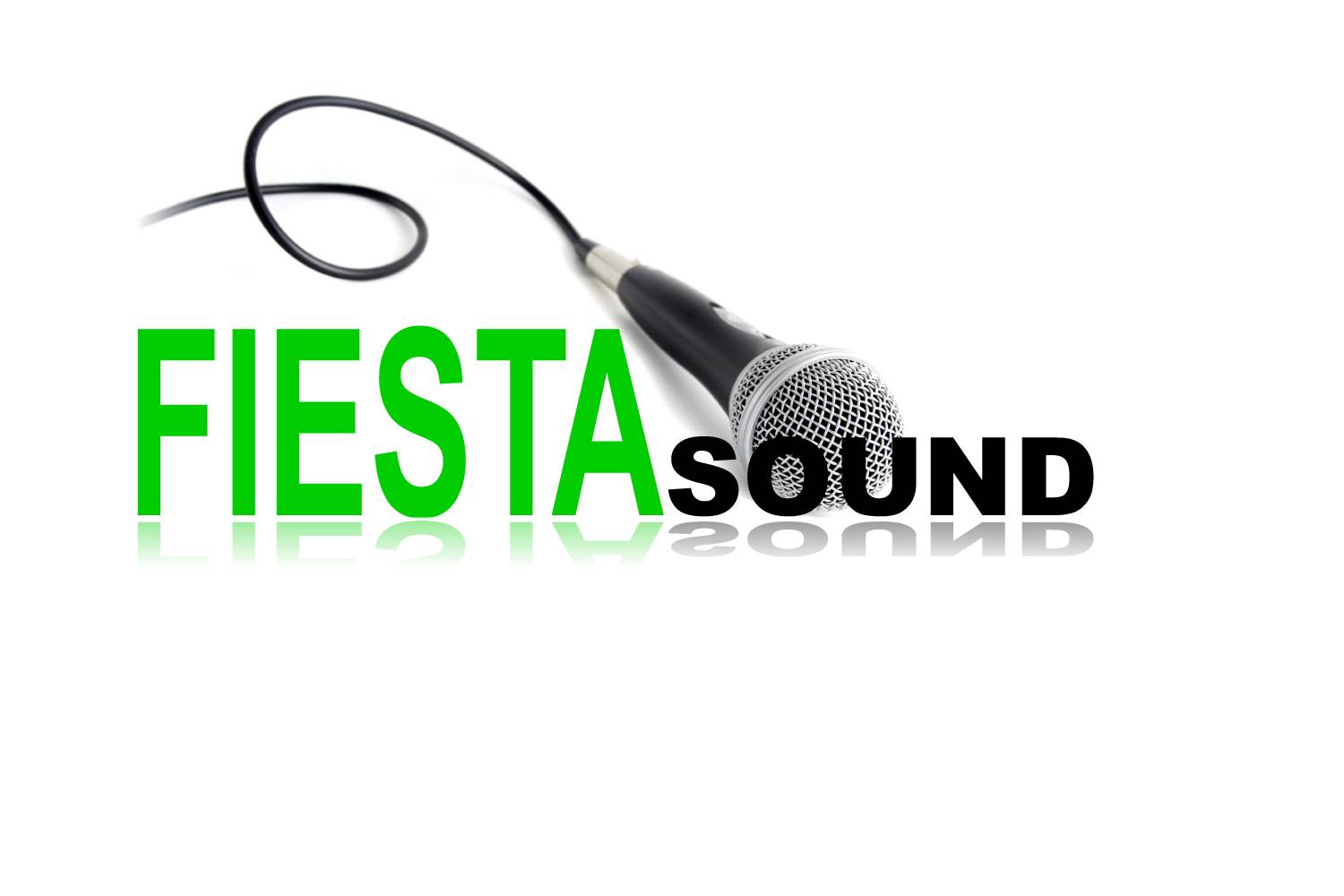 Logo Fiesta Sound